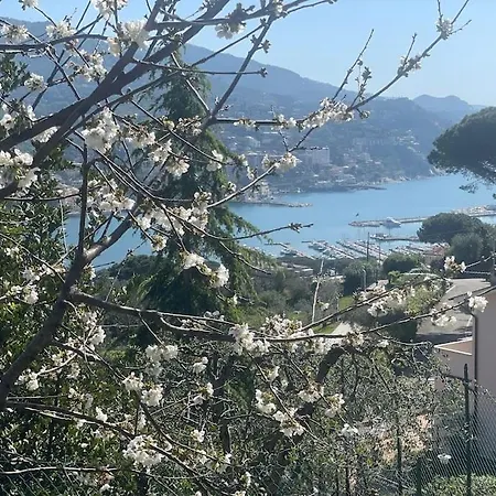 Casa Carmen Citra 010046-lt-2165 Daire *