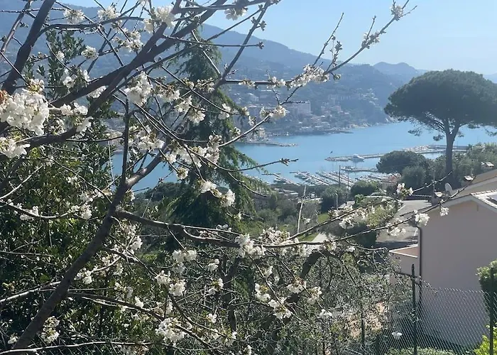 Casa Carmen Citra 010046-lt-2165 Appartement *